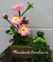 Квіти шипшини гачком гачком