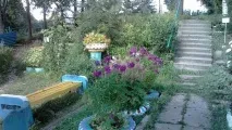 Дендропарк у селі Опеченський Посад селі