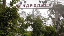 Дендропарк у селі Опеченський Посад опеченський