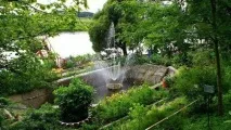 Дендропарк у селі Опеченський Посад селі