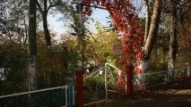 Дендропарк у селі Опеченський Посад селі