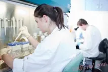 поспішати