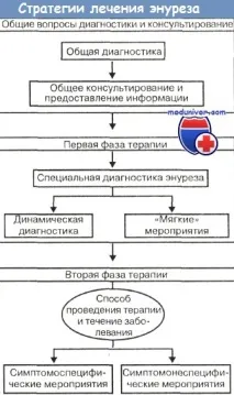 Енурез у дітей та підлітків - поширеність, причини, концепції лікування підлітків