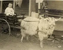 історія