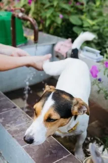 після