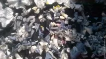 Як зробити лежанку для кішки з обрізків повсті – Ярмарок Майстрів зробити