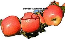 яблучний