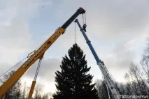 Як рубають головну новорічну ялинку країни новорічну