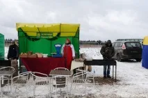 Як рубають головну новорічну ялинку країни новорічну