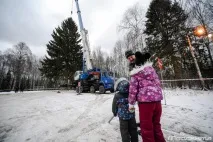 Як рубають головну новорічну ялинку країни рубають