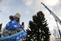 Як рубають головну новорічну ялинку країни рубають