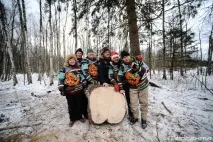 Як рубають головну новорічну ялинку країни головну
