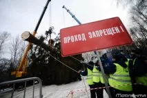 Як рубають головну новорічну ялинку країни головну