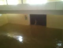 провести