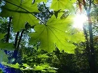 Як вибрати місце для відпочинку дикуном відпочинку