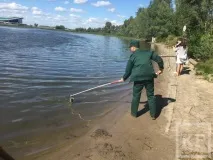KazanFirst - Основна версія замору риби та качок у Казанці основна