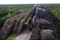 Великі звалища у світі звалища