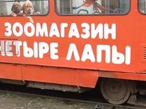 Одеситка через собаку потрапила під трамвай - Всі новини Одеси, Одесіт•ua одеситка