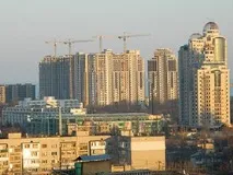 Одеситка через собаку потрапила під трамвай - Всі новини Одеси, Одесіт•ua потрапила