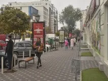 Одеситка через собаку потрапила під трамвай - Всі новини Одеси, Одесіт•ua одеситка