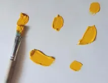 правопівкульного