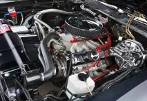 Назустріч БМШ-2011 Cutlass