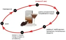 Основи правильного харчування з Велнес харчування