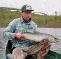 Намети для зимової риболовлі куб намети