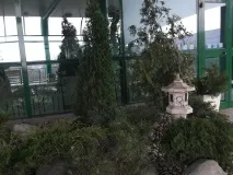 Озеленення дачної ділянки ціни за послуги, вартість озеленення ділянки перед будинком за м2 дачної
