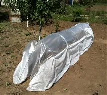 Парник-теплиця для помідорів помідорів