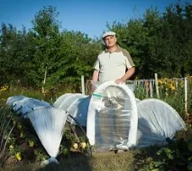 Парник-теплиця для помідорів Парник-теплиця