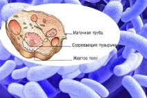 Планування вагітності дитини