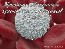 левкоцитите