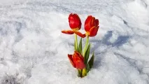 Чому так холодно навесні Увімкни настрій увімкни