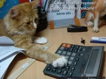поема