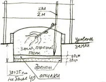 Посадка, догляд, вирощування сортів винограду для Підмосков’я сортів