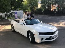 Прокат прикрас на машину весільні