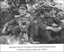 Пси війни поранених