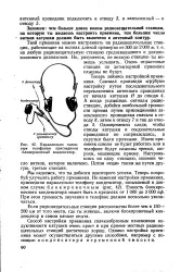 Радіомовна станція - Велика Енциклопедія Нафти та Газа, стаття, сторінка 1 станція