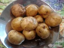 фрайт
