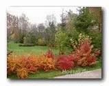 садові