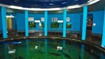 Севастопольський акваріум-музей акваріум-музей