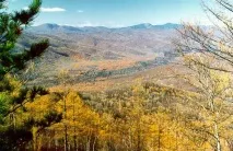 Сіхоте-Алінський заповідник wiki Факти про Україну сіхоте-алінський