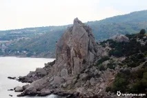 крило