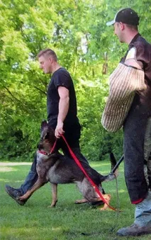 Система навчання НеПоПо (Негатив-Позитив-Позитив), Сторінка 3 з 3, ALENSTAL система