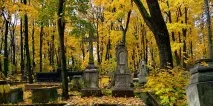 Сонник ходити кладовищем до чого сниться ходити цвинтарем уві сні сонник