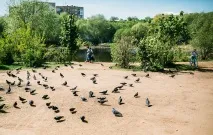 Стара Загора про що мовчить болгарська вулиця - Велика Село загора