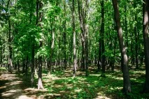 Стара Загора про що мовчить болгарська вулиця - Велика Село мовчить