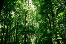 Стара Загора про що мовчить болгарська вулиця - Велика Село загора