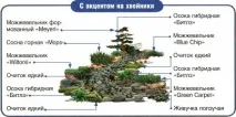 Сухий струмок своїми руками покрокова інструкція руками